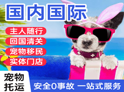 西昌青山航空运输国际宠物托运 【国